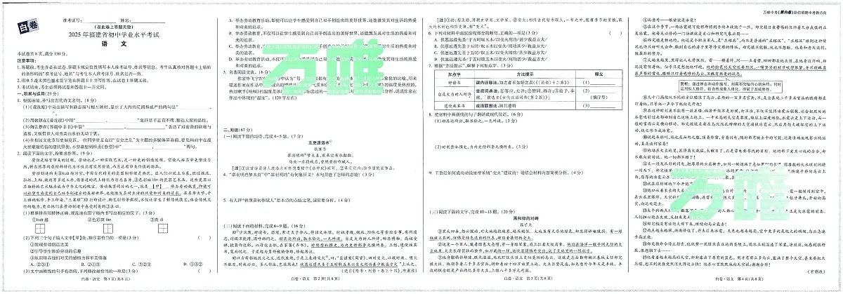 2025版中考万唯黑白卷语文白卷无答案(答案另附)第1页