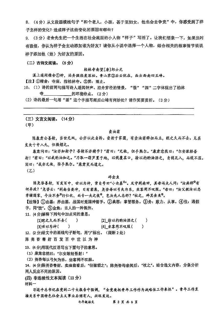 江苏省扬州市宝应县2024-2025学年七年级下学期期中考试语文试题第3页
