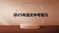 2025年中考语文二轮复习 专题九 文言文阅读(六) 课件