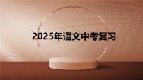 2025年中考语文二轮复习 专题九  文言文阅读（十一） 课件