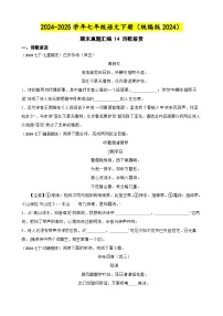 期末真题汇编 14 诗歌鉴赏（含答案）—2024-2025学年七年级语文下册（统编版2024）