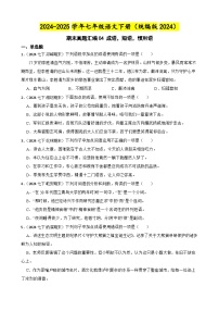 期末真题汇编04 成语，短语，惯用语（含答案）—2024-2025学年七年级语文下册（统编版2024）