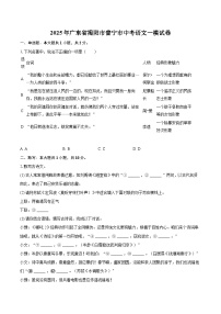 2025年广东省揭阳市普宁市中考语文一模试卷(含详细答案解析)