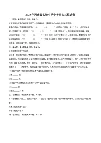 2025年河南省实验中学中考语文三模试卷(含详细答案解析)