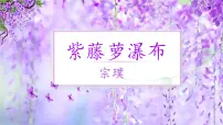 人教部编版(2024)七年级下册(2024)紫藤萝瀑布优秀课件ppt