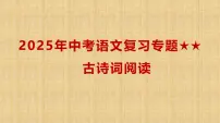 2025年中考语文复习专题专题复习课件:古诗词阅读