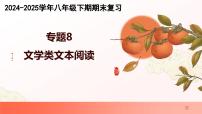 专题08：文学类文本阅读（考点串讲）2025学年八年级语文下学期期末考点大串讲统编版课件