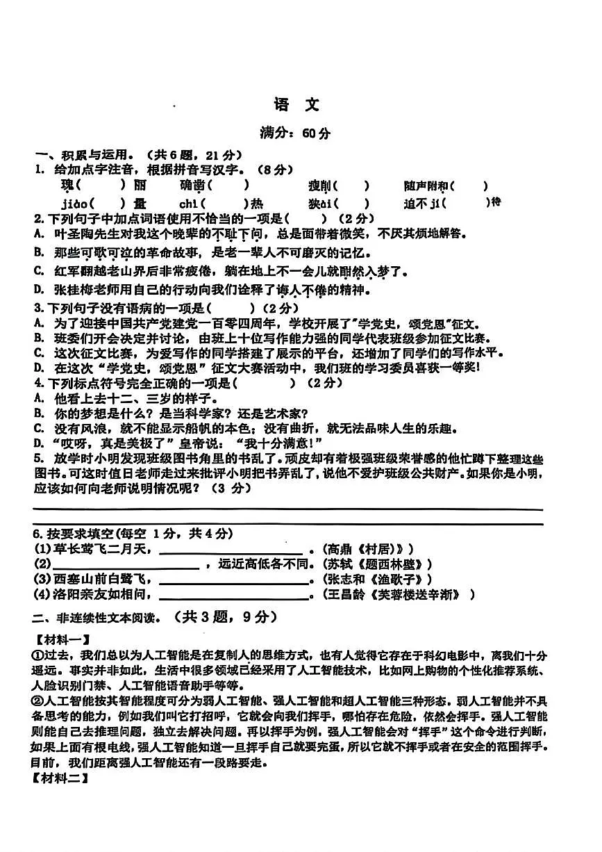 2025年广西壮族自治区南宁市银海三雅学校小升初语文试卷(中考模拟)第1页