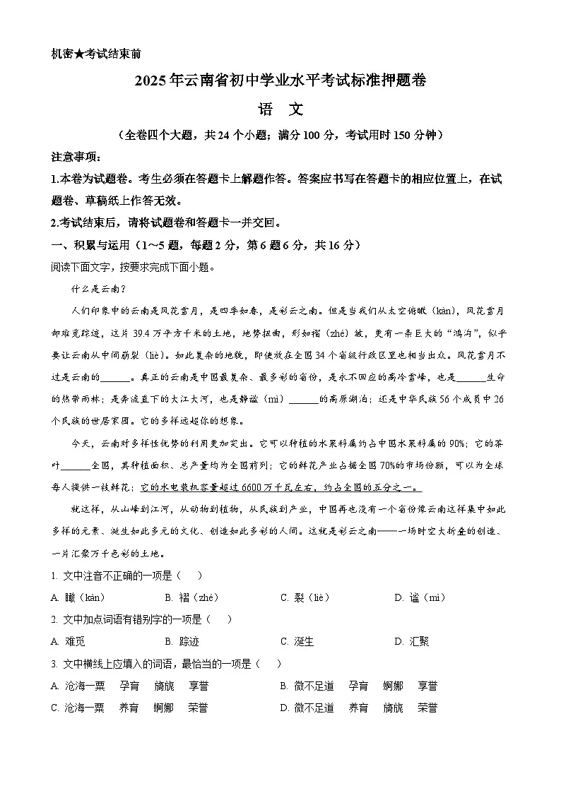 2025年云南省楚雄彝族自治州武定县中考二模语文试题(含答案)第1页