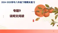 专题09：说明文阅读（考点串讲）2025学年八年级语文下学期期末考点大串讲（统编版）课件