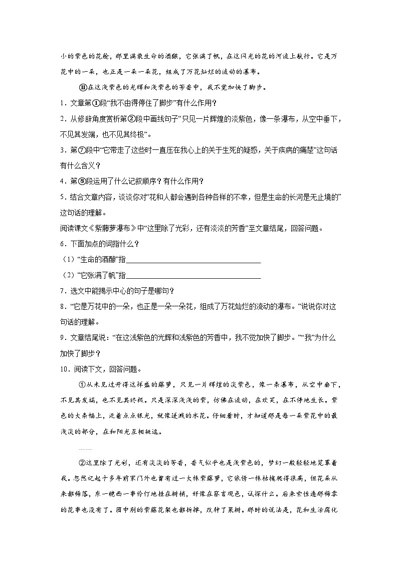 第19课《紫藤萝瀑布》练习2024—2025学年统编版(2024)语文七年级下册第2页