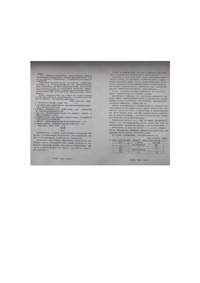 2025年辽宁省营口市盖州市中考二模语文试题(中考模拟)第2页