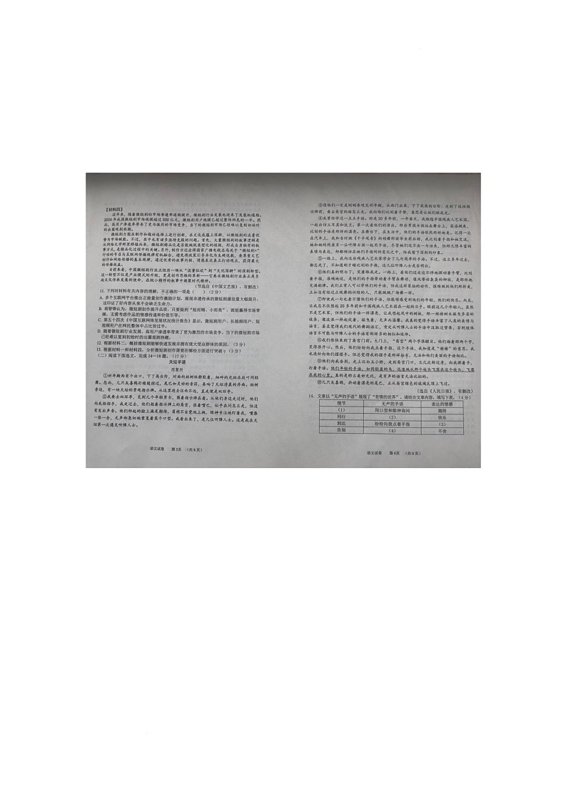 2025年辽宁省营口市盖州市中考二模语文试题(中考模拟)第2页