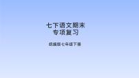 2025学年春季学期七年级下册语文 期末复习专题10 古诗鉴赏(PPT)