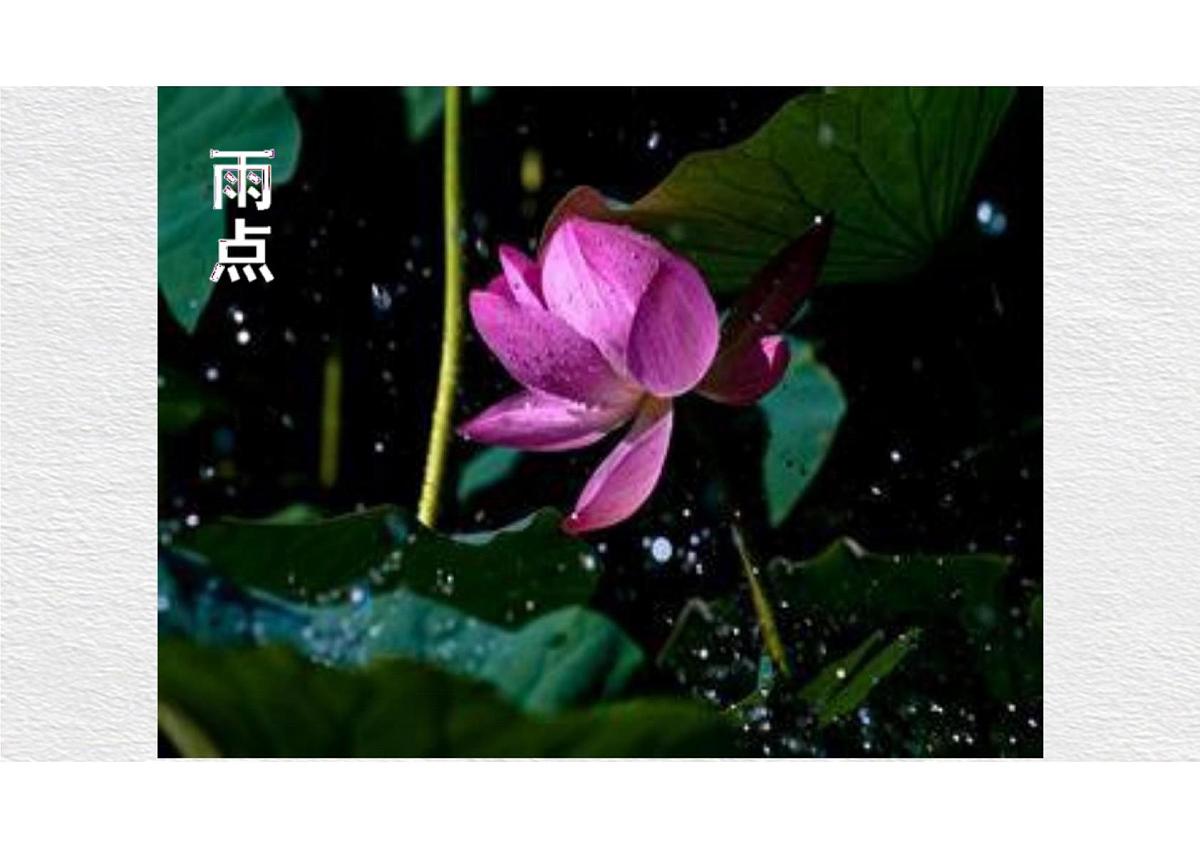 第7课《散文诗二首——荷叶 母亲》课件 2025学年统编版语文七年级上册第7页