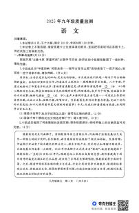 2025年河南省驻马店市驿城区部分初中联考中考一模语文试题（中考模拟）