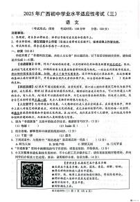2025年广西壮族自治区中考二模语文试题(中考模拟)