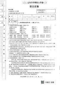 2025年黑龙江省齐齐哈尔市部分学校联考中考三模语文试题（中考模拟）