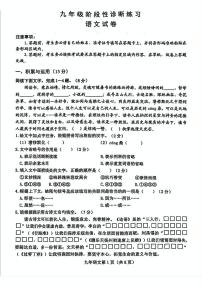 2025年吉林省长春市新区中考二模语文试题（中考模拟）