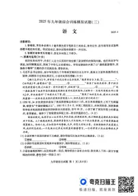 2025年山东省临沂市平邑县中考三模语文试题（中考模拟 ）