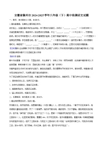 安徽省滁州市2024-2025學(xué)年八年級（下）期中檢測語文試題（含答案）
