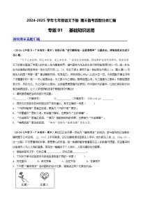 七年级语文下册 期末真题分类 01 基础知识运用(原卷+答案解析)2024-2025学年 统编版