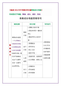 1.青春成长母题——第一步 吃透中考作文十大母题《走出那场风雨》-2025年中考语文作文写作讲练(全国通用)