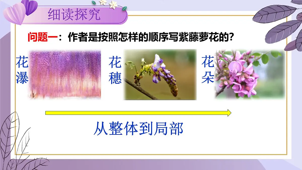 第19课《紫藤萝瀑布》课件-2024-2025学年统编版语文七年级下册第7页