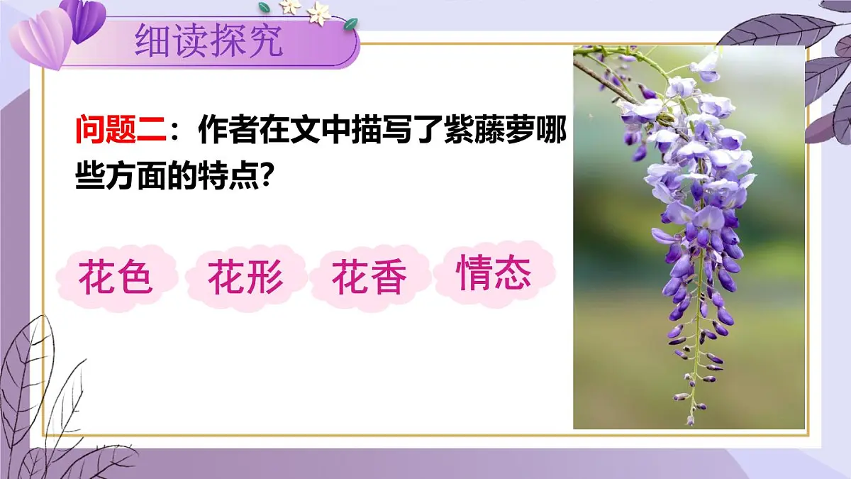 第19课《紫藤萝瀑布》课件-2024-2025学年统编版语文七年级下册第8页