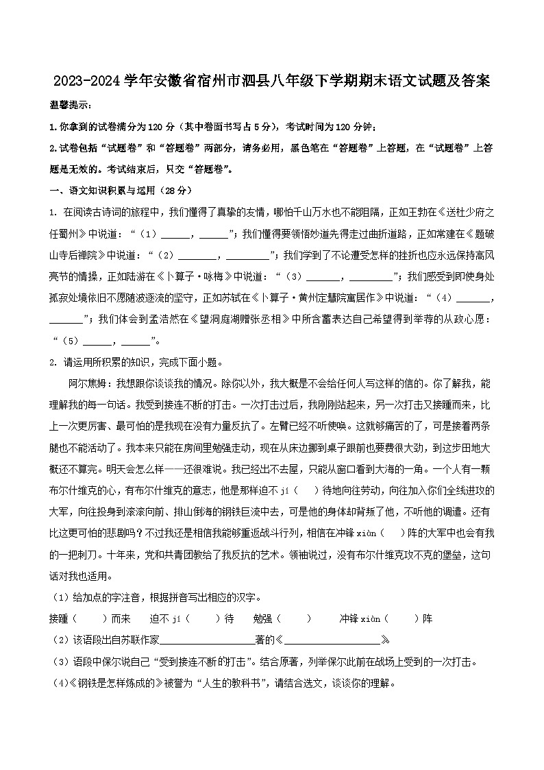 2023-2024学年安徽省宿州市泗县八年级下学期期末语文试卷及答案第1页