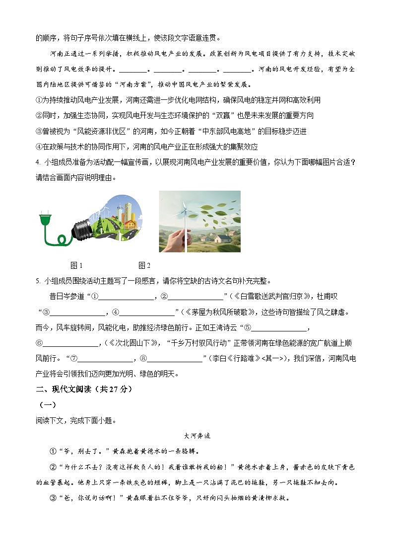2025年河南省驻马店市平舆县平玉二中、一中中考三模语文试题第2页