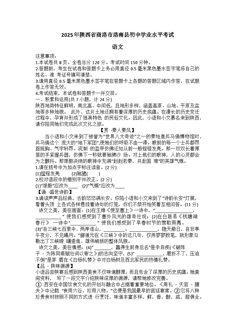 2025年陕西省商洛市洛南县初中学业水平模拟考试语文试题(中考模拟)第1页
