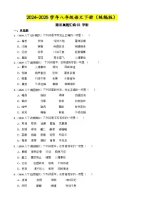 期末真题汇编02 字形（含答案）—2024-2025学年八年级语文下册（统编版）