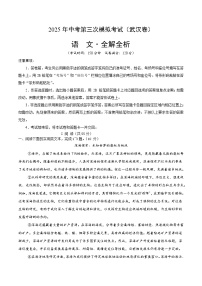 2025年中考数学第三次模拟考试卷：语文（武汉卷）（解析版）