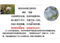 初中语文人教部编版（2024）七年级下册（2024）驿路梨花课文配套课件ppt