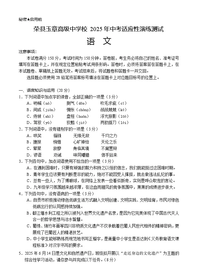 2025年四川省自贡市荣县玉章高级中学校中考适应性演练测试语文试题第1页