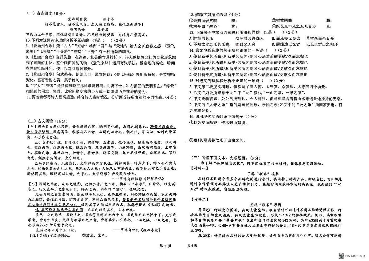 黑龙江省大庆市第一中学2024-2025学年九年级下学期第二次月考语文试题第2页