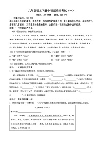 2025年河南省驻马店市驿城区中考三模语文试题（含答案）