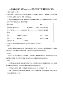 山东省临沂市兰山区2024-2025学年八年级下学期期中语文试题（含答案）