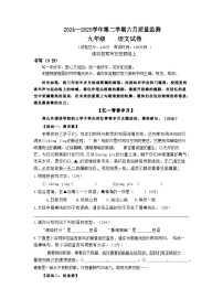 2025年广东省深圳市南外外国语集团中考三模语文试题（中考模拟）