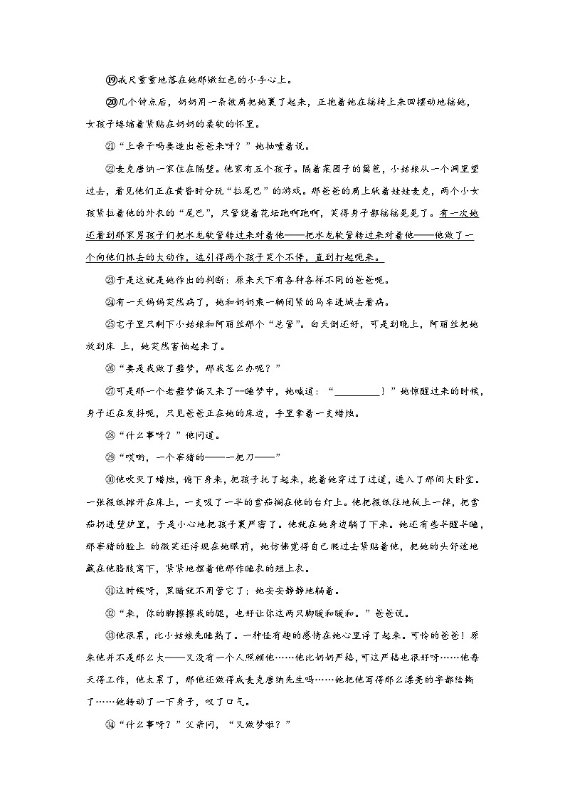中考语文外国小说阅读理解专项训练(一)(原卷版)-2026年中考语文一轮复习现代文阅读训练(全国通用)第2页