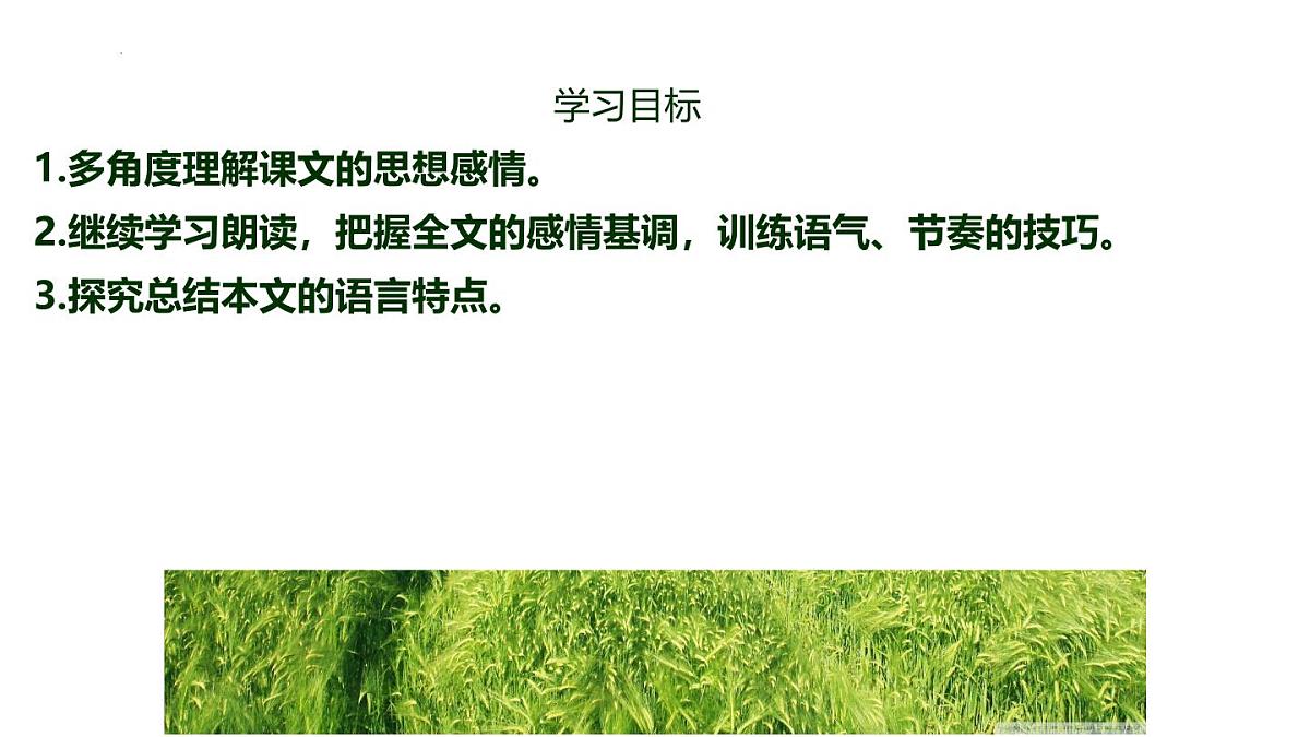 第6课《 散步》 课件2024-2025学年统编版语文七年级上册第2页