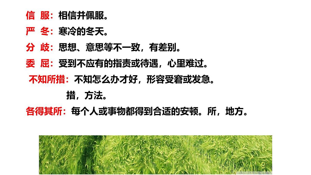 第6课《 散步》 课件2024-2025学年统编版语文七年级上册第5页