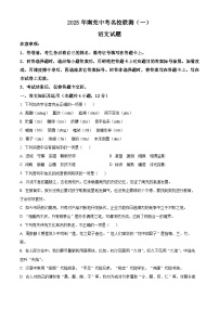 2025年四川省南充市名校联测中考一模语文试题