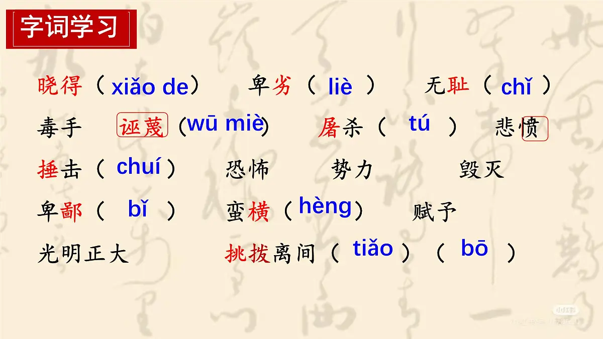 13 最后一次讲演 课件统编版八年级语文下册第3页