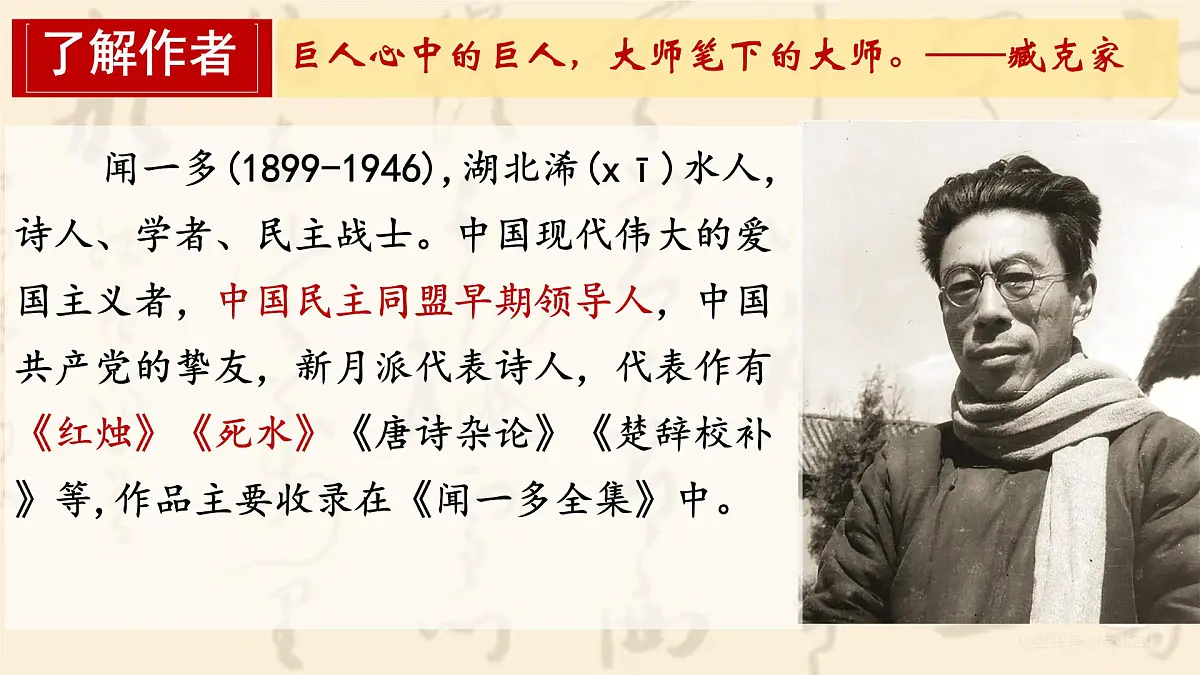 13 最后一次讲演 课件统编版八年级语文下册第5页