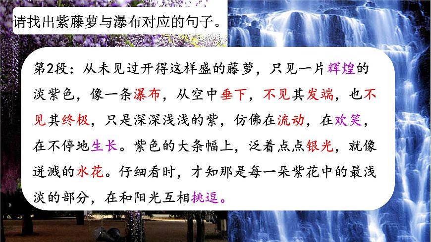 七下19 紫藤蘿瀑布 課件第7頁