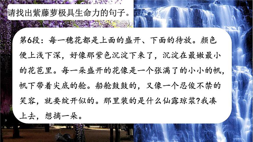 七下19 紫藤蘿瀑布 課件第8頁