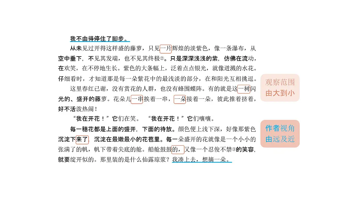 语文统编版(2024)七下第五单元19紫藤萝瀑布(第1课时)课件第5页