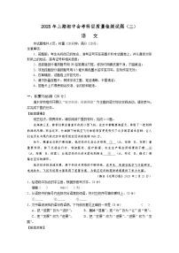 2025年湖南省娄底市涟源市中考三模语文试题（含解析）